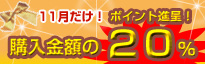 11月だけ！購入金額の20%ポイント進呈!