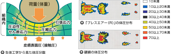 生体工学から見た体圧分散／硬綿の体圧分布