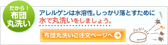 布団丸洗いご注文ページへ