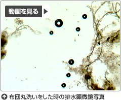 布団丸洗いをした時の排水顕微鏡写真