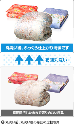 丸洗い前、丸洗い後の布団の比較写真。長時間汚れたままで張りのない寝具。布団丸洗い。丸洗い後、ふっくら仕上がり清潔です