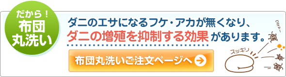 布団丸洗いご注文ページへ