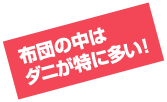 布団の中はダニが特に多い！