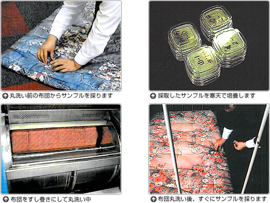 布団丸洗い　実験の様子