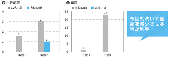 実験結果グラフ