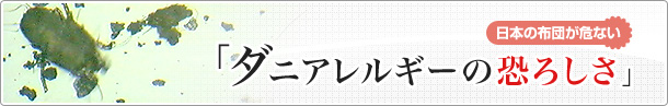 ［日本の布団が危ない］ダニアレルギーの恐ろしさ