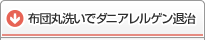 布団丸洗い 布団クリーニングでダニアレルゲン退治