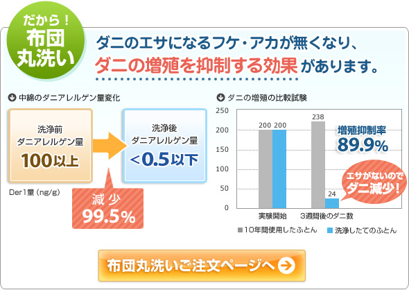 だから布団丸洗い