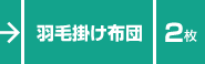 羽毛掛け布団／２枚