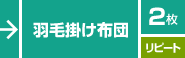 羽毛掛け布団／２枚／リピート