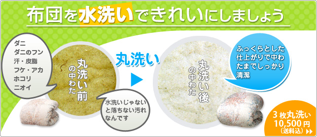布団を丸ごと水洗い