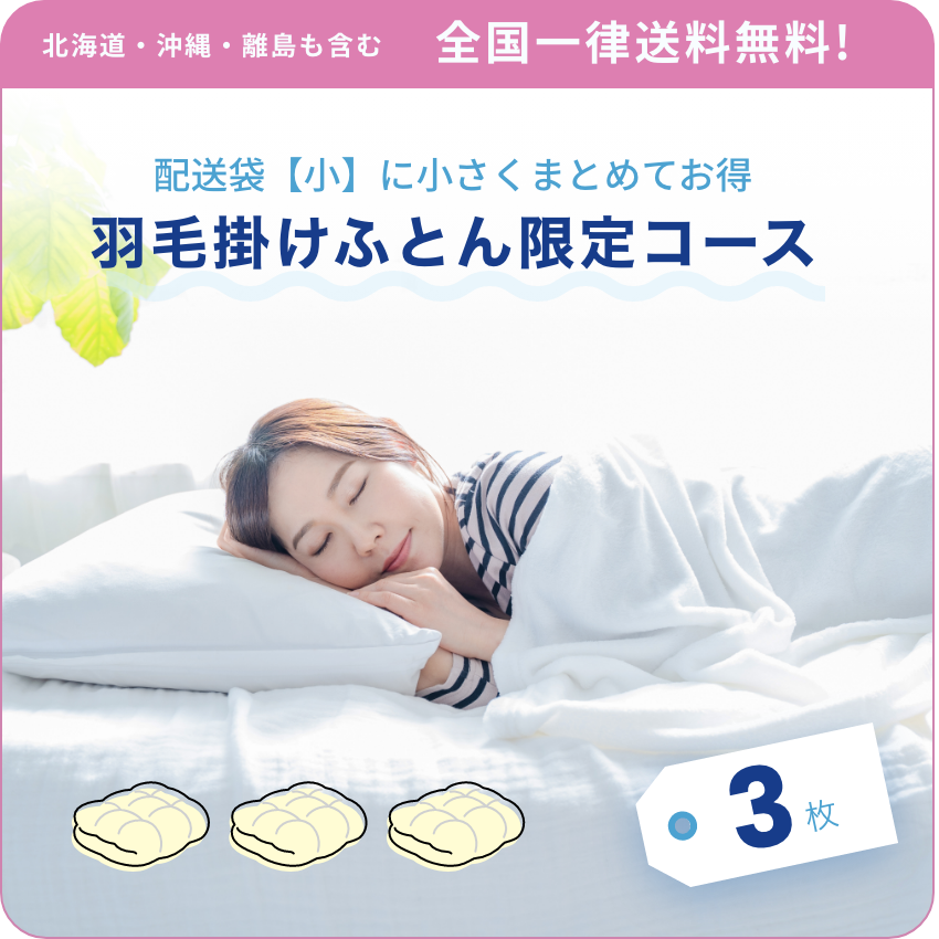 北海道・沖縄・離島も含む 全国一律送料無料! 配送袋【小】に小さくまとめてお得 羽毛掛けふとん限定コース 3枚