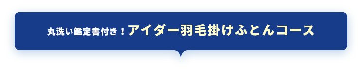 プラスフレスコ　アイダーコースとは