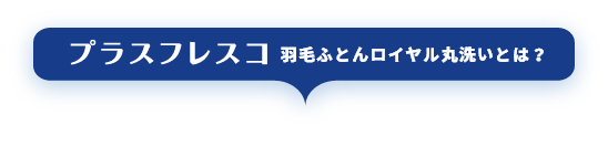 プラスフレスコ　ロイヤルコースとは