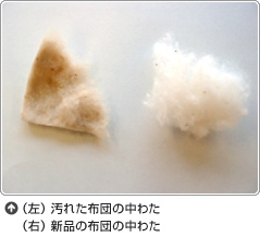 布団丸洗いでダニ退治 布団クリーニング 羽毛布団クリーニング 信頼のブランド フレスコ ふとん丸洗い専門店
